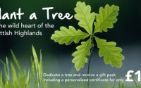 Plant a tree as a gift