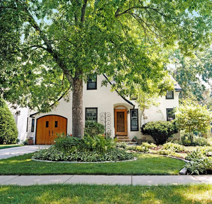 Trees to plant in front of house