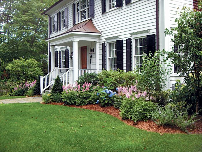 Trees to plant in front of house