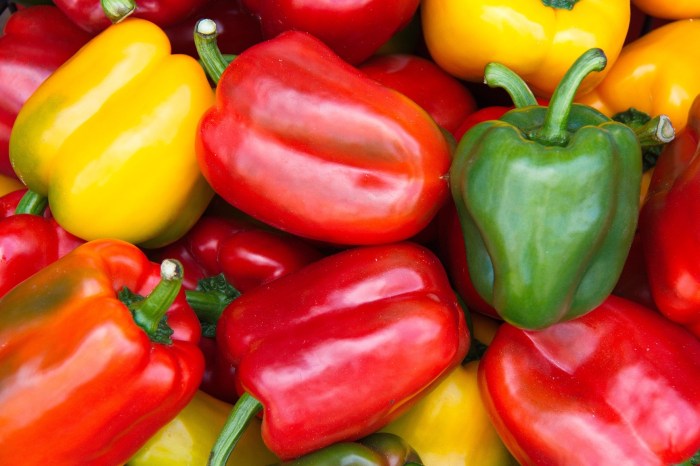 How to plant bell pepper seeds