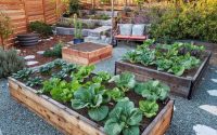 Plant tree in raised bed