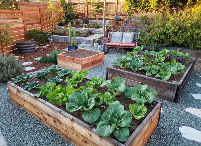 Plant tree in raised bed