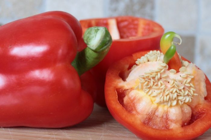 How to plant bell pepper seeds