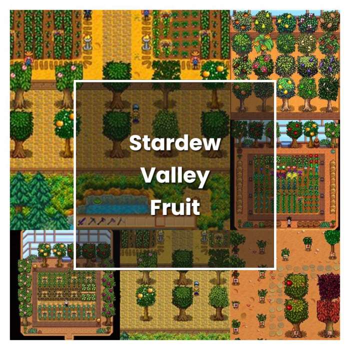 When to plant fruit trees stardew