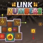 Link Numbers